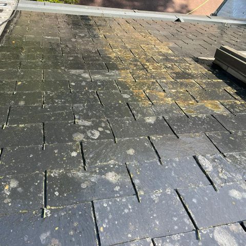 demoussage toiture nogent le rotrou 28