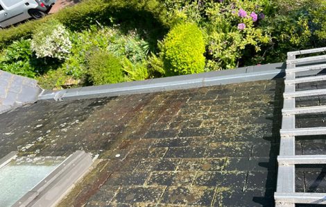 Démoussage et nettoyage de toiture Nogent-le-Rotrou 28400