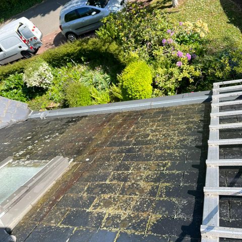 demoussage toiture nogent le rotrou