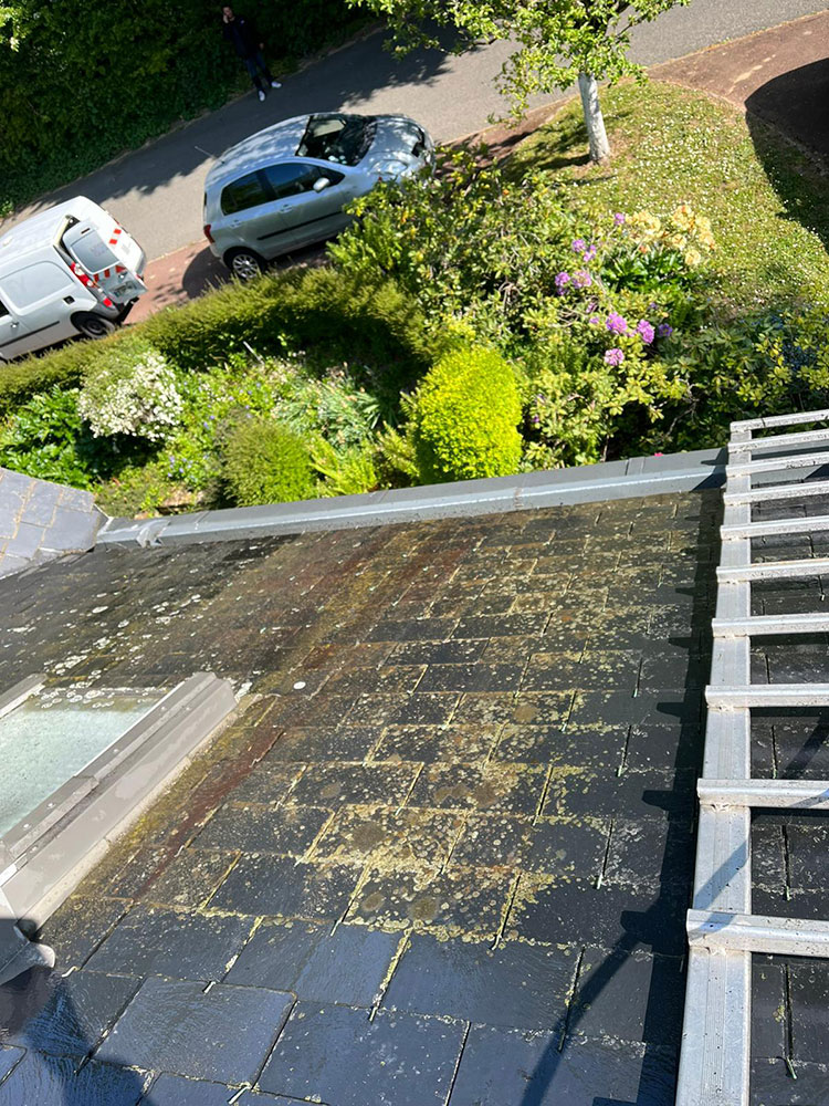 Démoussage et nettoyage de toiture Nogent-le-Rotrou 28400