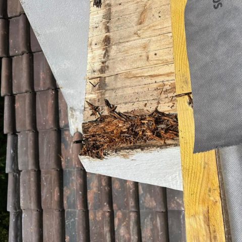 couvreur margon 28400 1